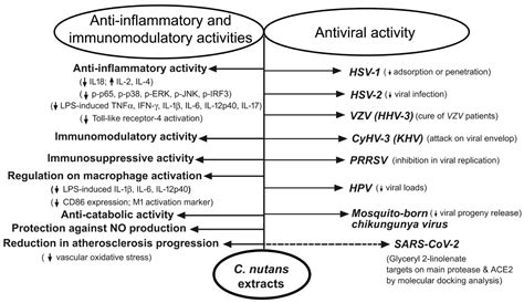 Ijms Free Full Text Antiviral And Immunomodulatory Activities Of