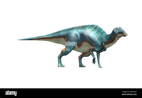 Maiasaura Un Hadrosaurio Sobre Un Fondo Blanco Este Dinosaurio De