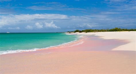 The Pink Sand beach on Harbour Island | Bahamas | She is Wanderlust