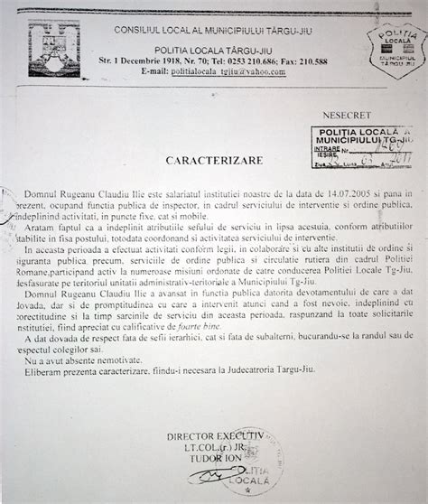 Penal Model Caracterizare Pentru Judecatorie Cum Functioneaza Si Ce