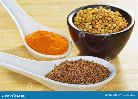 Basic Curry Spices stock photo. Image of still, indian - 29146270