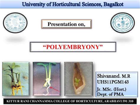 Polyembryony Ppt By Shivanand M R Embryo Seed