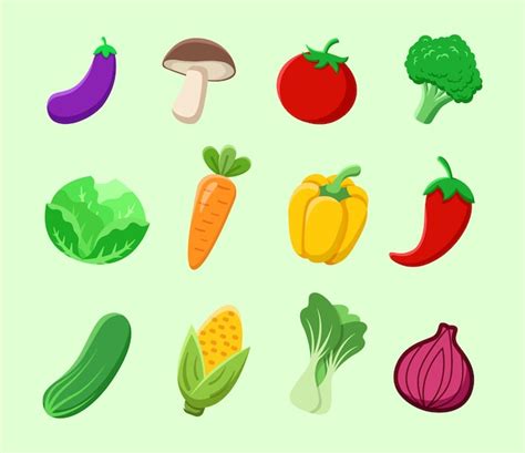 Premium Vector Vegetables Vector Illustration Set