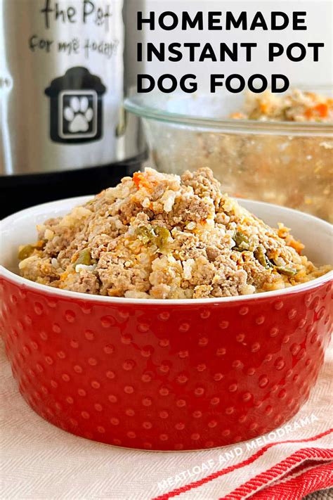 Ground Beef And Dog Food Mix At Helenlwitherso Blog