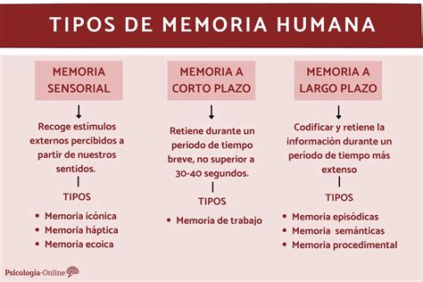 Características De La Memoria En Psicología Colegio De Psicólogos Sj