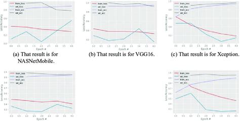 Classification Performance Download Scientific Diagram