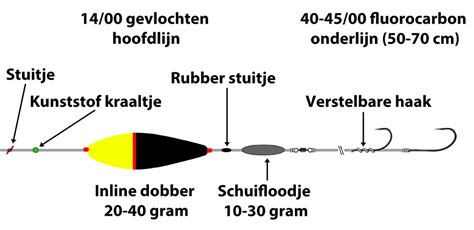 Zeebaars Expert Over Molens Vislijnen Voorslag En Het Vissen Met De