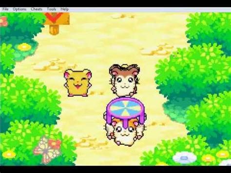 Let S Play Hamtaro Rainbow Rescue Part Youtube