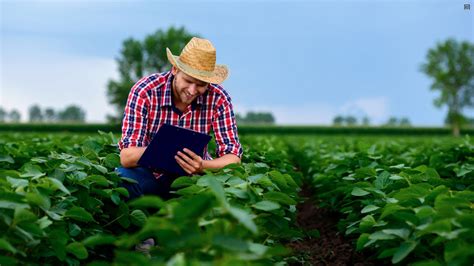 Quais As Etapas Do Planejamento Estrat Gico No Agroneg Cio