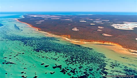 Aerial Photography Shark Bay