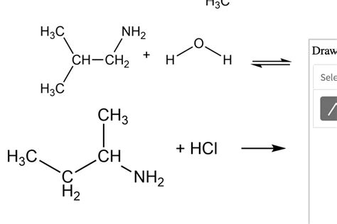 Solved Y H C Nh Ch Ch H Draw H Sele Ch Hcl H C Ch Nh H C