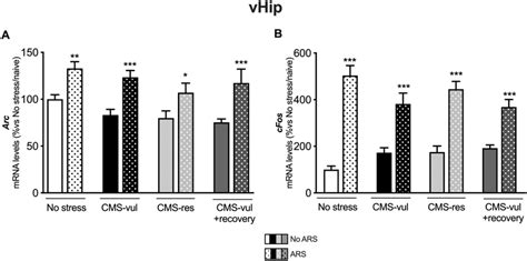 Analysis Of Arc And Cfos Mrna Levels In The Ventral Hippocampus Vhip