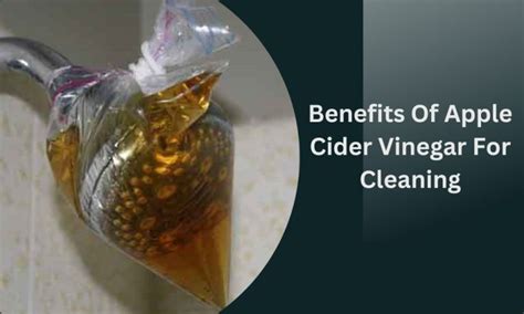 Apple Cider Vinegar To Clean Shower Head Step By Step Guide