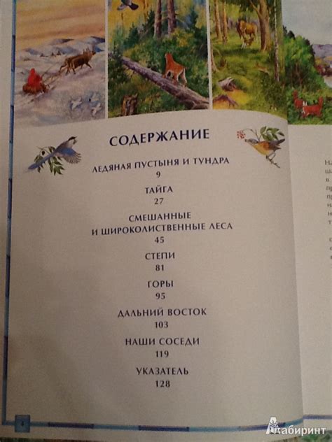 Книга: Природа России. Иллюстрированная энциклопедия - Романова ...