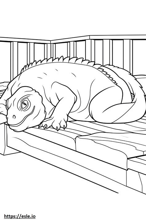 Iguana Sleeping Coloring Page