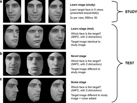 The Cambridge Face Memory Test Contains Three Stages A Learn Also Download Scientific