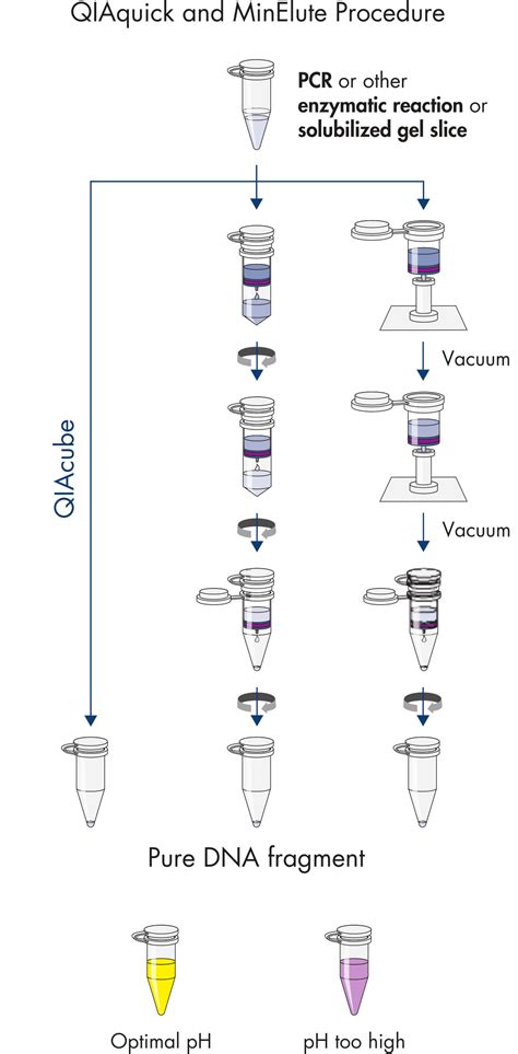 MinElute Gel Extraction Kit Gel DNA Purification QIAGEN