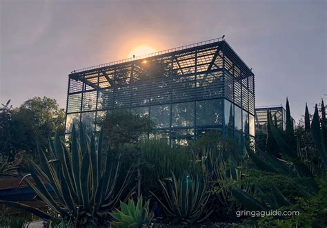 Urban Wilderness: The Gringa's Guide to the Best Mexico City Parks