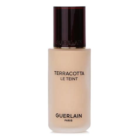 Terracotta Le Teint Healthy Glow Natural Perfection