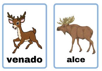 Spanish Flash Cards By Mindfavor Tpt