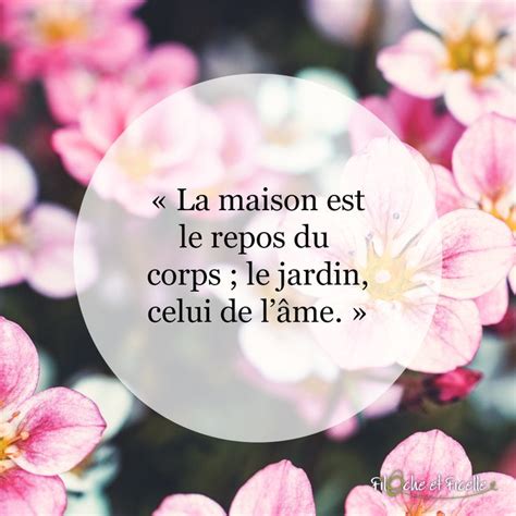 Une Jolie Citation Pour Bien Commencer La Semaine Citationdujour