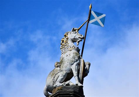 Embracing the Enigmatic: Why Scotland Chose the Unicorn as Its National ...