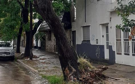 Un árbol a punto de caerse preocupa a los vecinos de un barrio de La