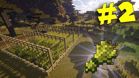 Minecraft Ita Farm Di Grano Youtube