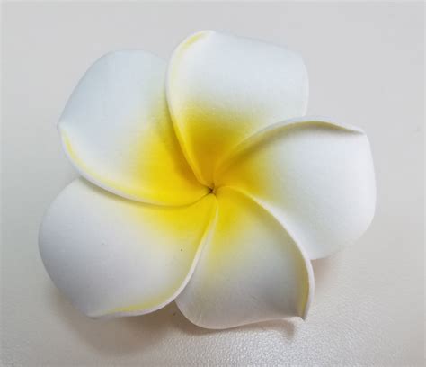 Hawaiian Simple White Plumeria Flower Hair Clip Da Style