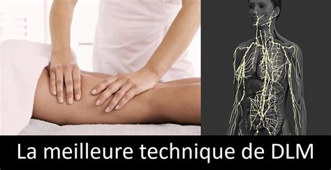 Drainage Lymphatique Traduire En Anglais Best Drain Photos Primagem