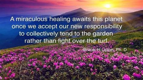 Bruce Lipton Quotes. QuotesGram