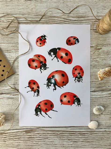 Seven Spotted Ladybug Art Print Ladybird Wall Art Seven Spot Etsy