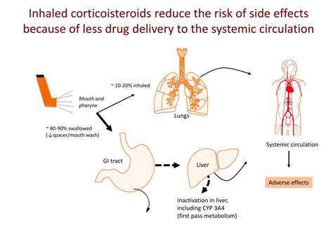 Ppt Steroids Aspergillus And Antifungals Powerpoint Presentation Free Download Id 4954923