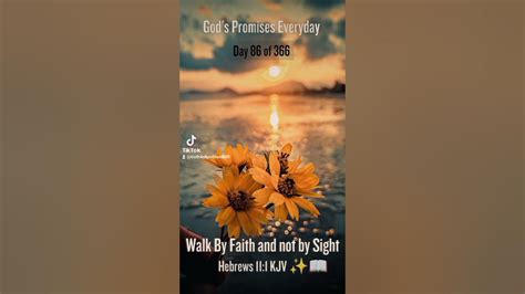 Dont Stop Trusting God Day 86 Of 366 🙋🏽‍♀️ 📖 Gods Promises Everyday Hebrews 111 Kjv Faith