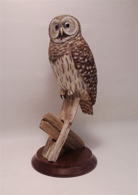 Barred Owl Half Size About 9 Inches Long Hand Carved And Etsy Owl Barred Owl Hand Carved