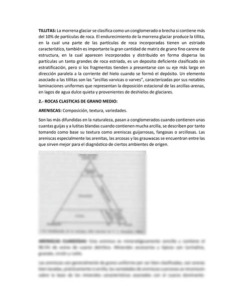 Solution Rocas Sedimentarias Clasticas De Grano Grueso Medio Y Fino