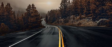 2560x1080 Road Between Woods 2560x1080 Resolution Hd 4k Wallpapers 396