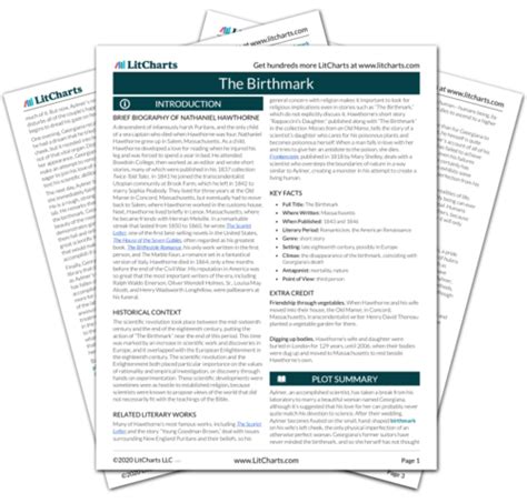 The Birthmark Summary & Analysis | LitCharts