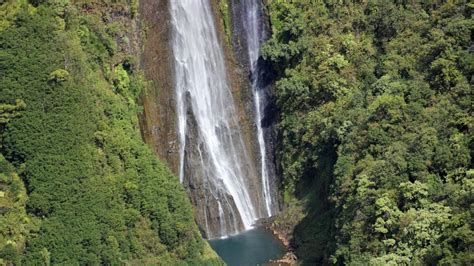 Jurassic Park Hawaii | Hawaii Jurassic Park Information | Find Out More