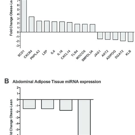 Expression Of Protein Coding Genes And MiRNAs In Adipose Tissue A