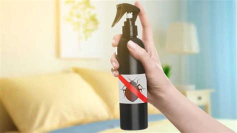 The 11 Best Bed Bug Spray Of 2023 And What To Look For