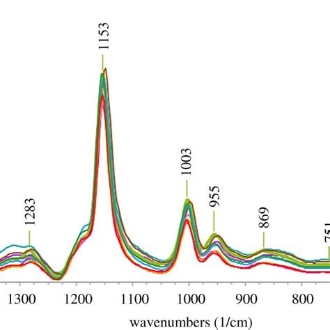 Averages Of Normalized Raman Spectra Of Seeds In Wild 15 SW And