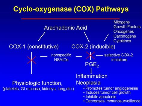 Tại Sao Nsaids Cổ điển Có Thể ức Chế Cả Cox 1and2 Pharmog