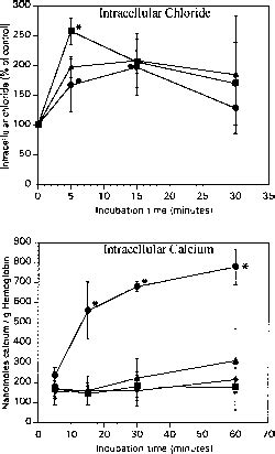 Effect Of Nem On The Arsine Induced Increase Of Intracellular Chloride