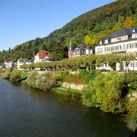 Neckarwiese Heidelberg Ce Quil Faut Savoir Pour Votre Visite