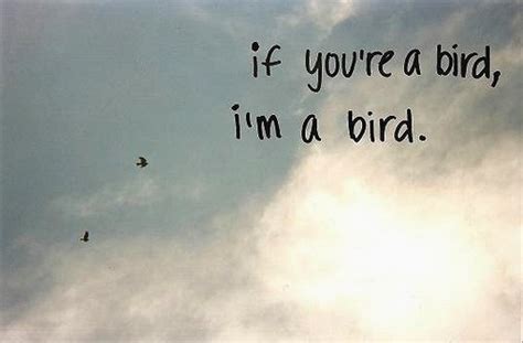 Movie Quotes About Birds. QuotesGram