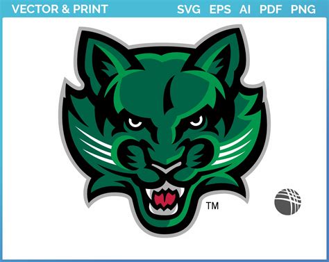 Binghamton Bearcats - Secondary Logo (2001) - College Sports Vector SVG ...