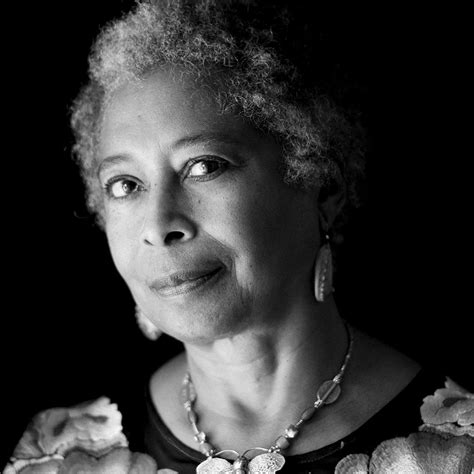 Alice Walker El Emblema Representativo De Derechos Afroamericanos