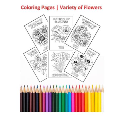 Jual Murah Coloring Pages Variety Of Flowers Mewarnai Bunga