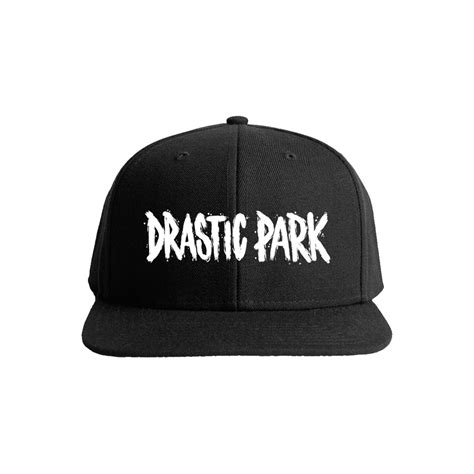 Logo Snapback Hat (Black)– Artist First